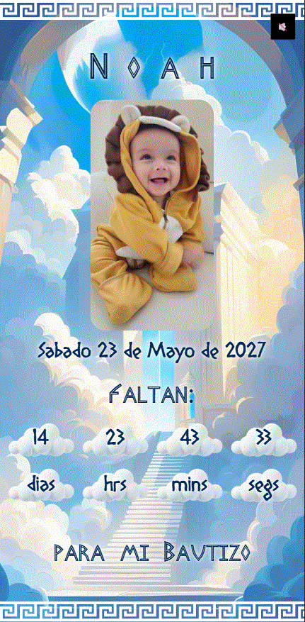 Vista Previa