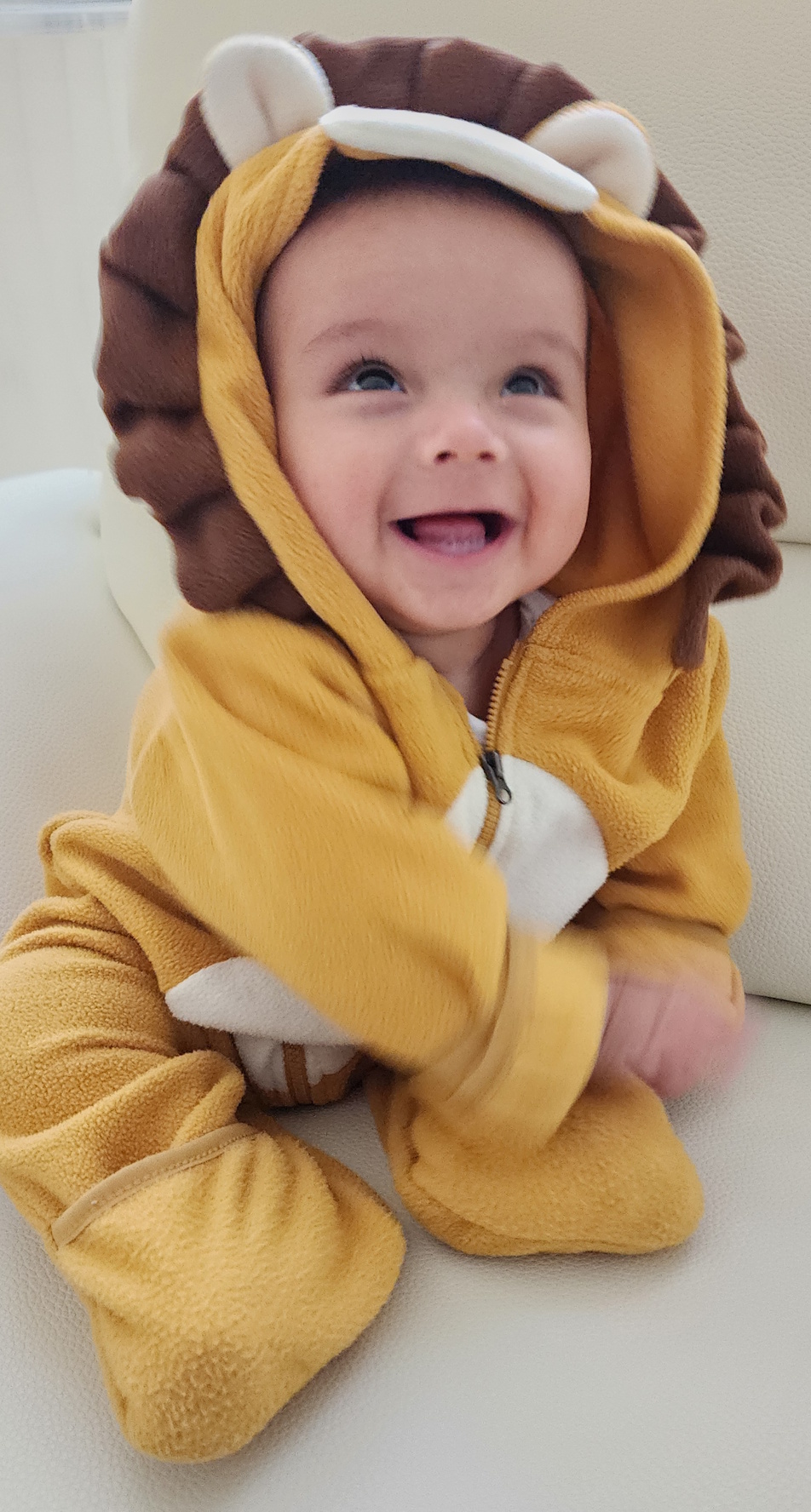 Noah.jpg