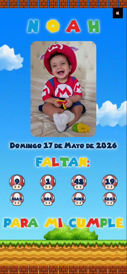 Vista Previa